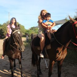 Alquiler De Caballos El Estribo