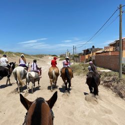 Alquiler De Caballos La Martina