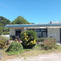 Alquiler Zona Centro