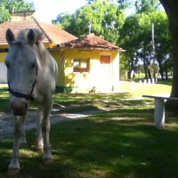 Autocamping Las Toninas