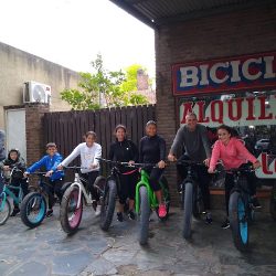 Bicicleta Leo