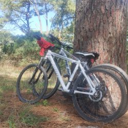 Bicicleteria