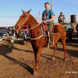 Cabalgatas Palenque Los 3 Hns
