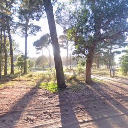 Campamento Cristiano “Villa De Los Niños”