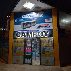 Campoy Repuestos Del Automotor