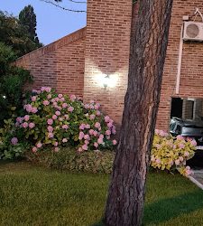 Casas Pinamar