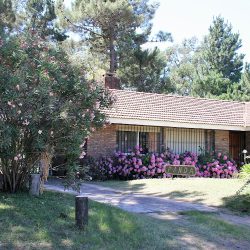 Chalet Panda