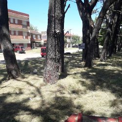 Colegio Modelo Santa Teresita