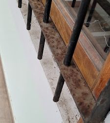 Complejo Los Pinos - San Bernardo Exclusivo