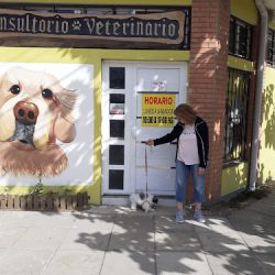 Consultorio Veterinario De La Costa