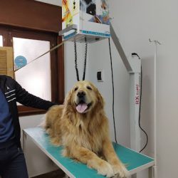 Consultorio Veterinario Miguel Corti