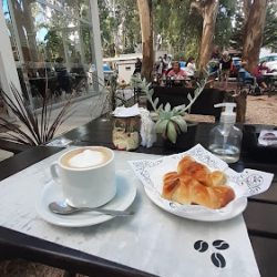 Del Pinar Café Club