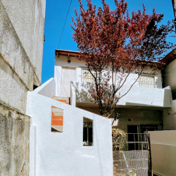 Departamento En Alquiler Para 5 Personas San Clemente Del Tuyu