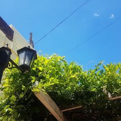 Deptos Alquiler Edificio Sommer