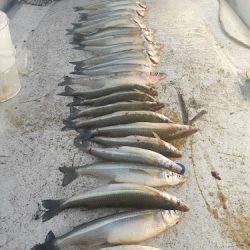El Pescador
