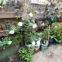 El Vivero De Mamá