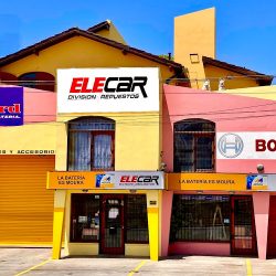 Elecar División Repuestos
