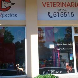 En 2 Patas
