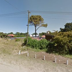 Escribania Pinamar