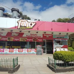 Fancy Chicken