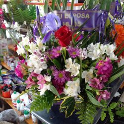 Floreria - Vivero Calle 4