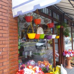 Flores Alihuen