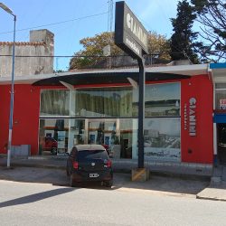 Gianini Gesell