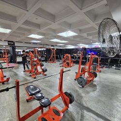 Gimnasio Fox Pinamar