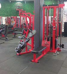 Gimnasio Shark