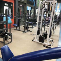 Gimnasios New Gym