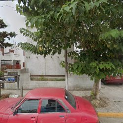 Heladeria Olivia