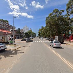 Hostelpinamar
