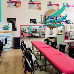 Ipece Instituto De Peluqueria Y Estetica
