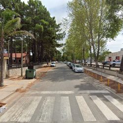 Jardin Lenguitas