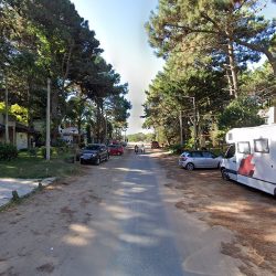 Jazmines Del Este