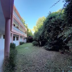 Js Palace