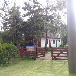 "La Mariana"