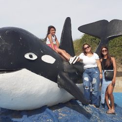 La Orca