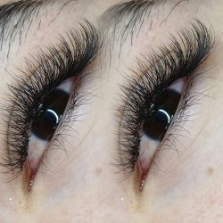 Lashes Bunny