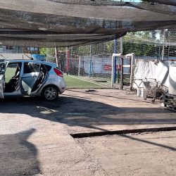 Lavado De Autos Palmeras