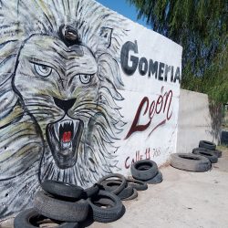 Leon Gomeria Calle 11 768