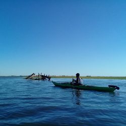 Limosa Kayak Expediciones