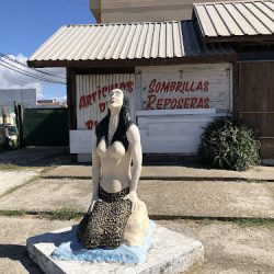 Lopecito Pesca Embarcada