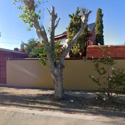 Los Aromos