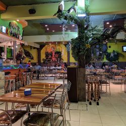 Marula Zoo Café