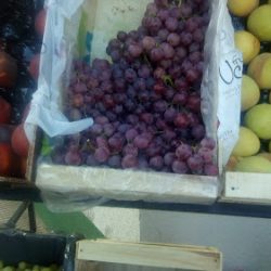 Mercado Diego