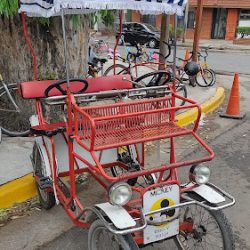 Mickey Alquiler De Bicletas Y Carritos