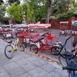 Mickey Bicicleteria
