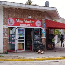 Mini Market 
