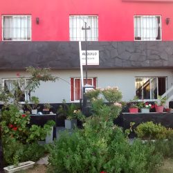 Mis Nietos Aquiler Departamentos( Popi Y Blanca)